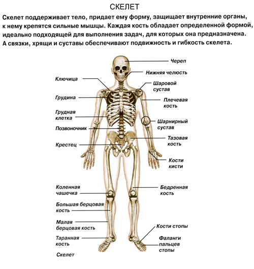 Пример карточки для задания Пример карточки для задания